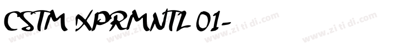 CSTM XPRMNTL 01字体转换